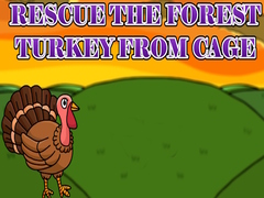 Laro Rescue the Forest Turkey from Cage