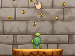 Laro Turtle Coaster