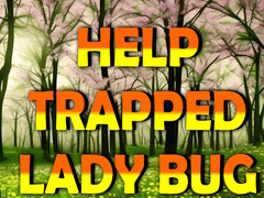 Laro Help Trapped Lady Bug