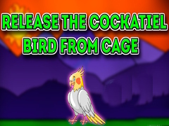 Laro Release the Cockatiel Bird from Cage