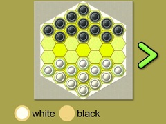Laro Pskov Checkers
