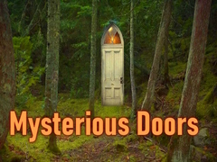 Laro Mysterious Doors