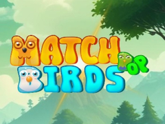 Laro Match Pop Birds