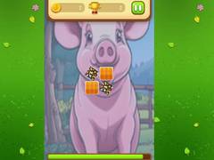 Laro Farm Animals Memory Cards