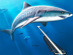Laro Hunting Underwater Spearfishing
