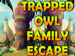 Laro Trapped Owl Family Escape