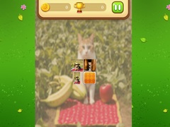 Laro Farm Cat Memory Match