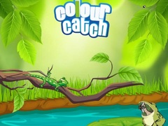 Laro Colour Catch