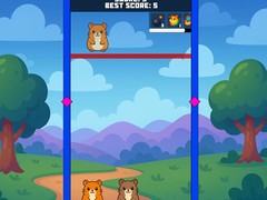 Laro Evolution Of Hamsters