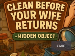 Laro Clean Before Your Wife Returns Hidden Object