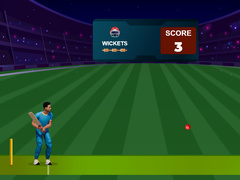 Laro Cricket Night 2