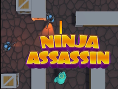 Laro Ninja Assassin