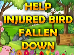 Laro Help Injured Bird Fallen Down