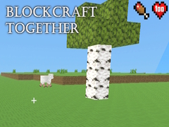 Laro BlockCraft Together