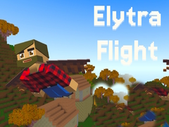 Laro Elytra Flight