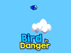 Laro Bird in Danger