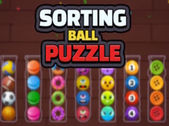 Laro Sorting Ball Puzzle