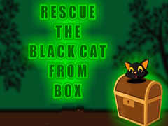 Laro Rescue the Black Cat from Box