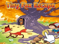 Laro Tiny Fox Escape