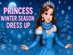 Laro Princess Winter Season Dress Up
