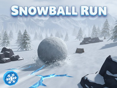Laro Snowball Run