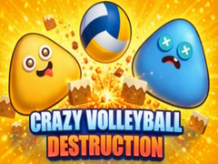 Laro Crazy Volleyball Destruction
