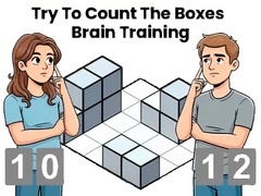 Laro Try To Count The Boxes Brain Training