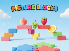 Laro Picture Blocks