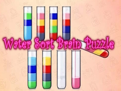 Laro Water Sort Brain Puzzle