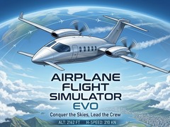 Laro Airplane Flight Simulator EVO