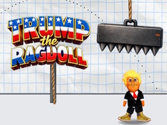Laro Trump the Ragdoll