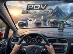 Laro POV Car Driving