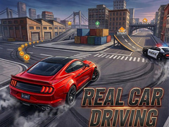 Laro Real Car Driving