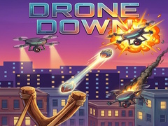 Laro Drone Down
