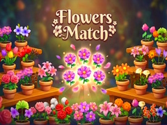 Laro Flowers Match
