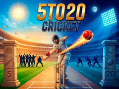 Laro 5TO20 Cricket