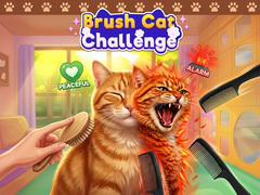Laro Brush Cat Challenge 