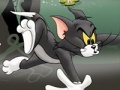 Laro Tom And Jerry Chase In Marsh