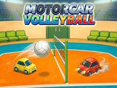 Laro Motorcar volleyball