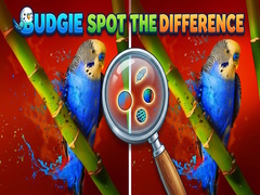 Laro Budgie Spot the Difference