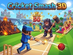 Laro Cricket Smash 3D