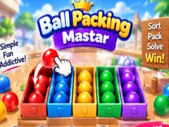 Laro Packing Master Puzzle