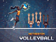 Laro Netherton Volleyball
