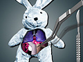 Laro Save The Bunny
