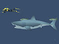 Laro Mad Shark