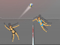Laro Ragdoll Volleyball