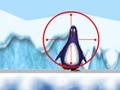 Laro Shooting at the Zoo penguin