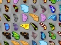 Laro Butterfly kyodai