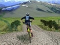 Laro 3D Mountain Bike