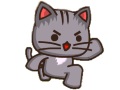 Strikeforce Kitty laro 